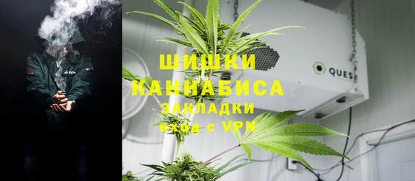 трава Снежинск