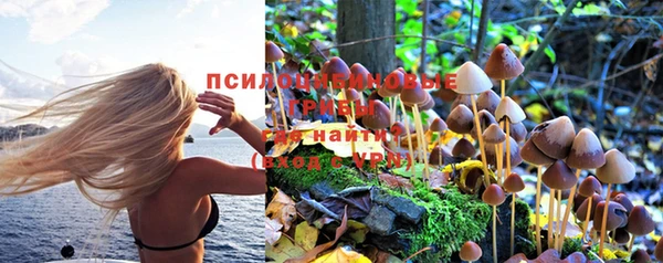 трава Снежинск