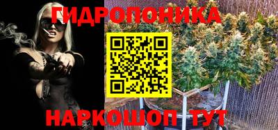 гидра Бийск