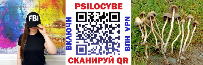Псилоцибиновые грибы Magic Shrooms  Шумерля 
