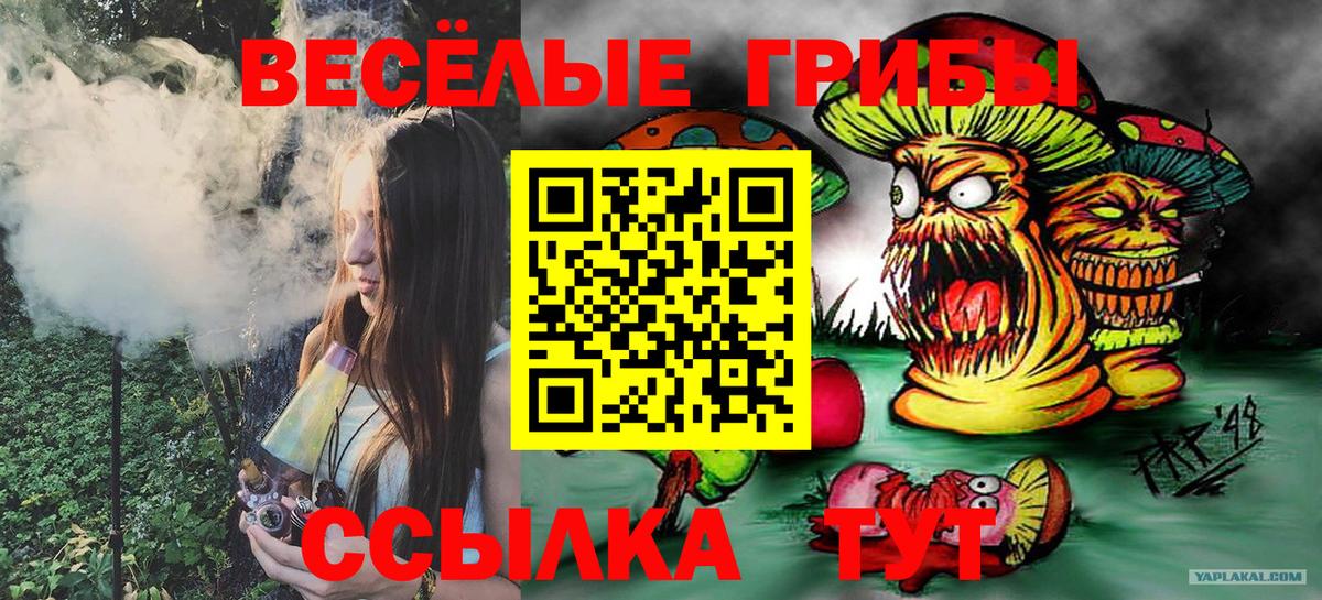 Галлюциногенные грибы MAGIC MUSHROOMS  Шумерля 